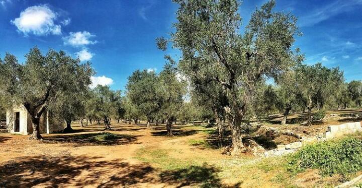 Cannole Petraria Hotel & Resort מראה חיצוני תמונה